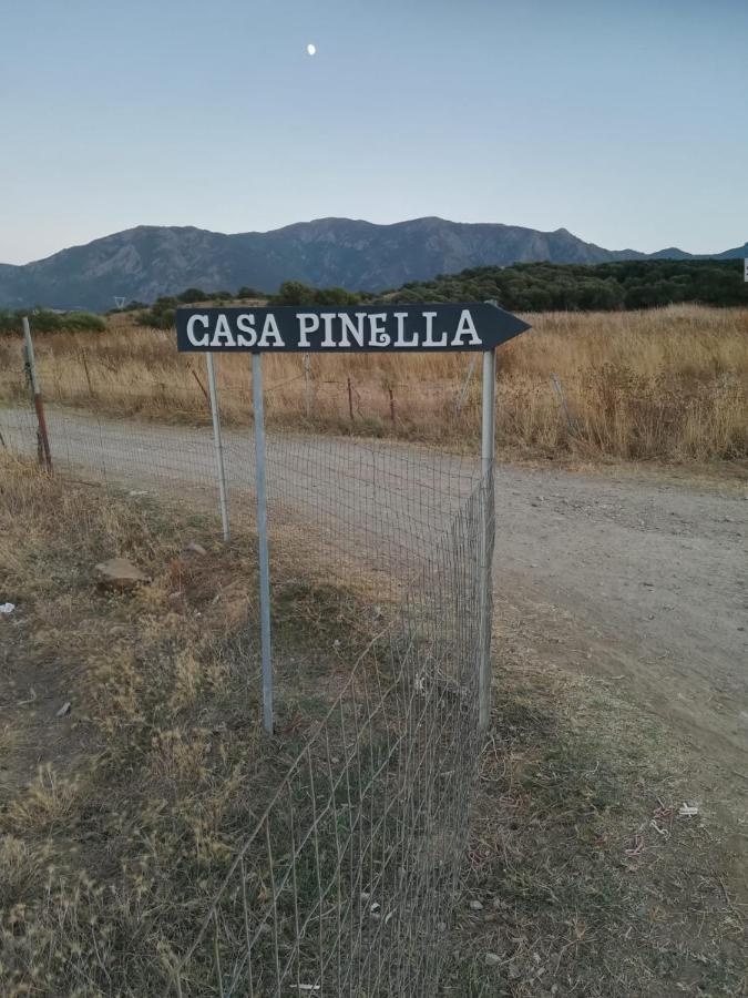 Casa Pinella Villa Villamassargia Dış mekan fotoğraf