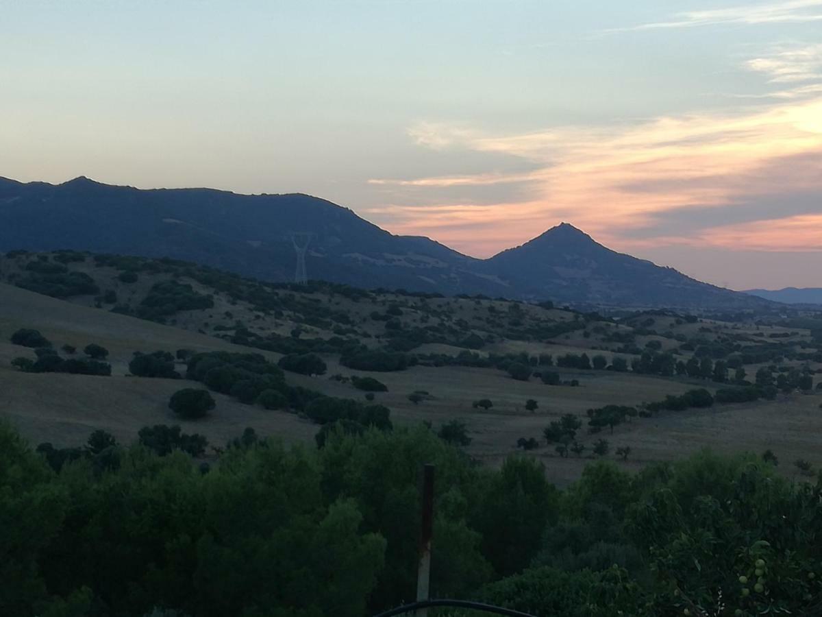 Casa Pinella Villa Villamassargia Dış mekan fotoğraf