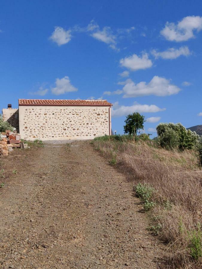 Casa Pinella Villa Villamassargia Dış mekan fotoğraf