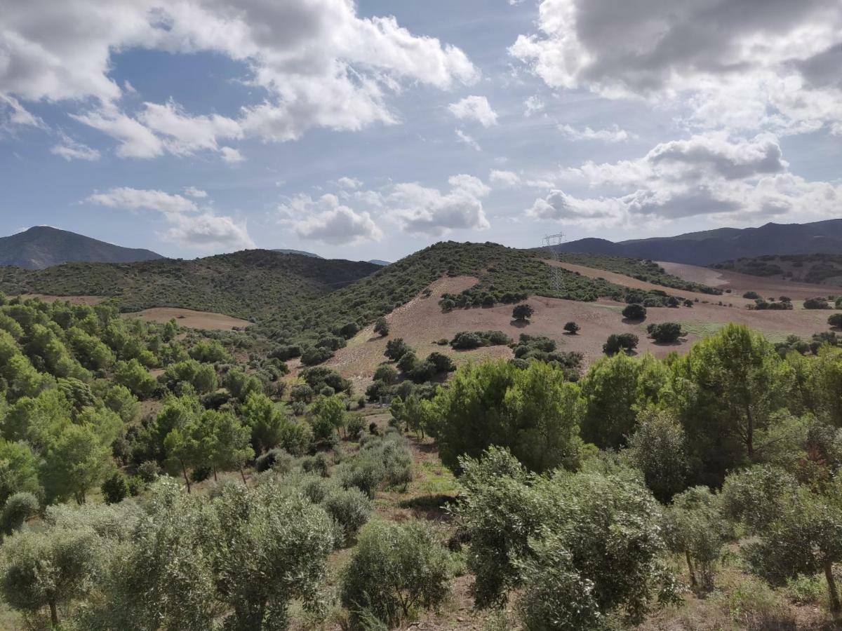 Casa Pinella Villa Villamassargia Dış mekan fotoğraf