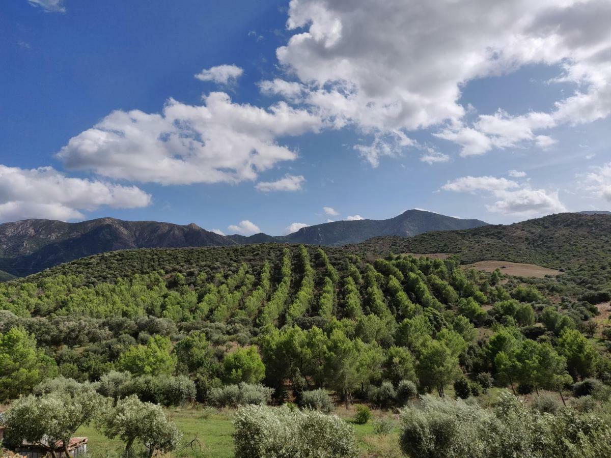Casa Pinella Villa Villamassargia Dış mekan fotoğraf